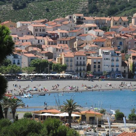 Appartement Avec Grande Terrasse Vue Sur Mer Banyuls-sur-Mer Εξωτερικό φωτογραφία